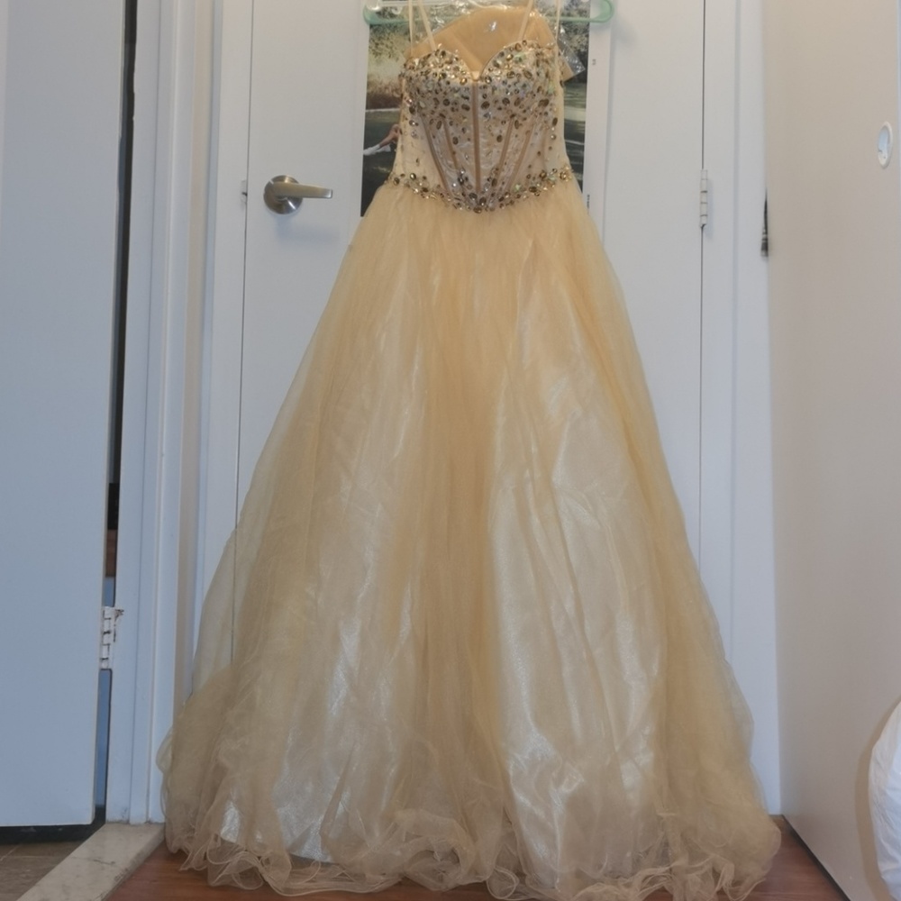 Champion Prom Dress / accept offers
